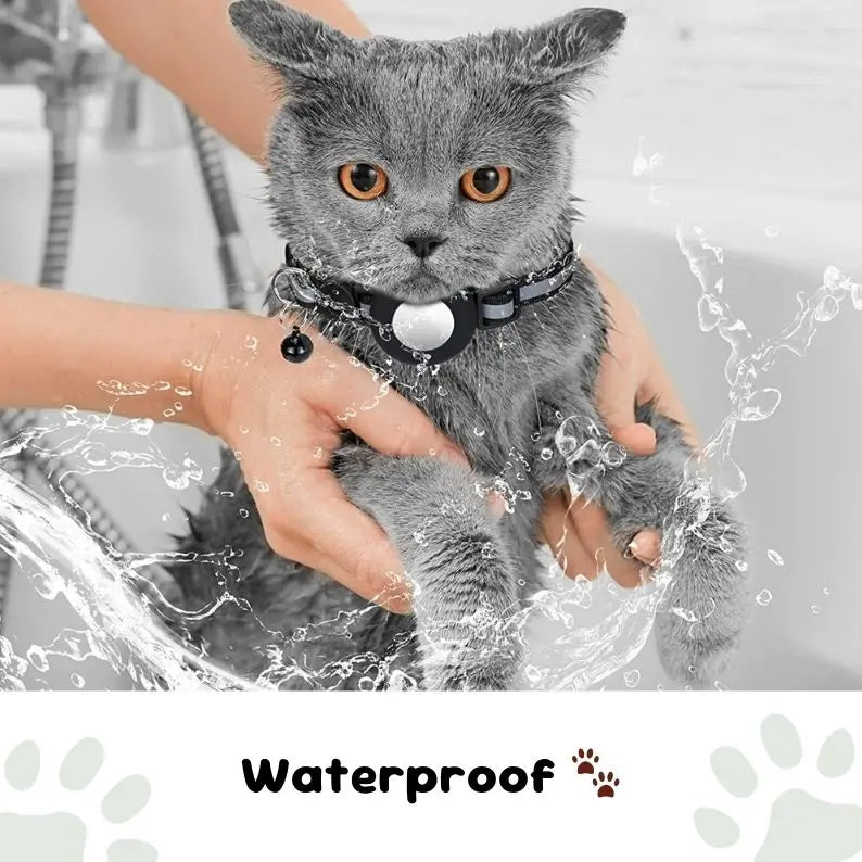 Collier Air-Tag pour chat et chien