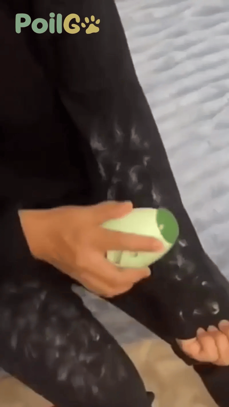 Anti - poils et peluches réutilisable - PoilGo