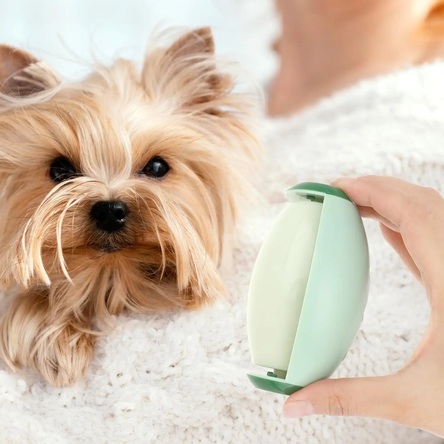 Anti - poils et peluches réutilisable - PoilGo