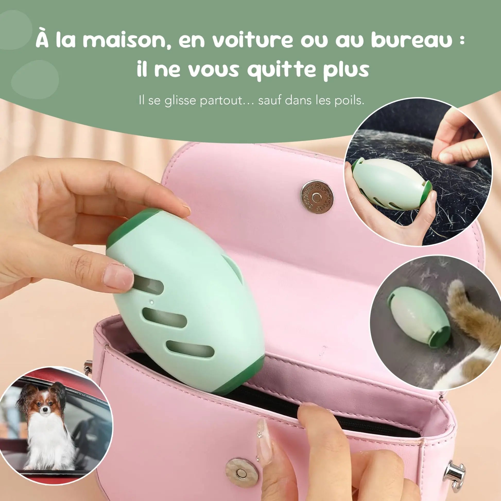 Anti - poils et peluches réutilisable - PoilGo