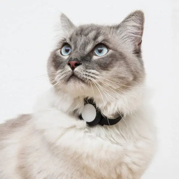 Collier Air-Tag pour chat et chien